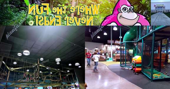 Go N Bananas Family Fun Center de Lancaster | Horario, Mapa y entradas 2