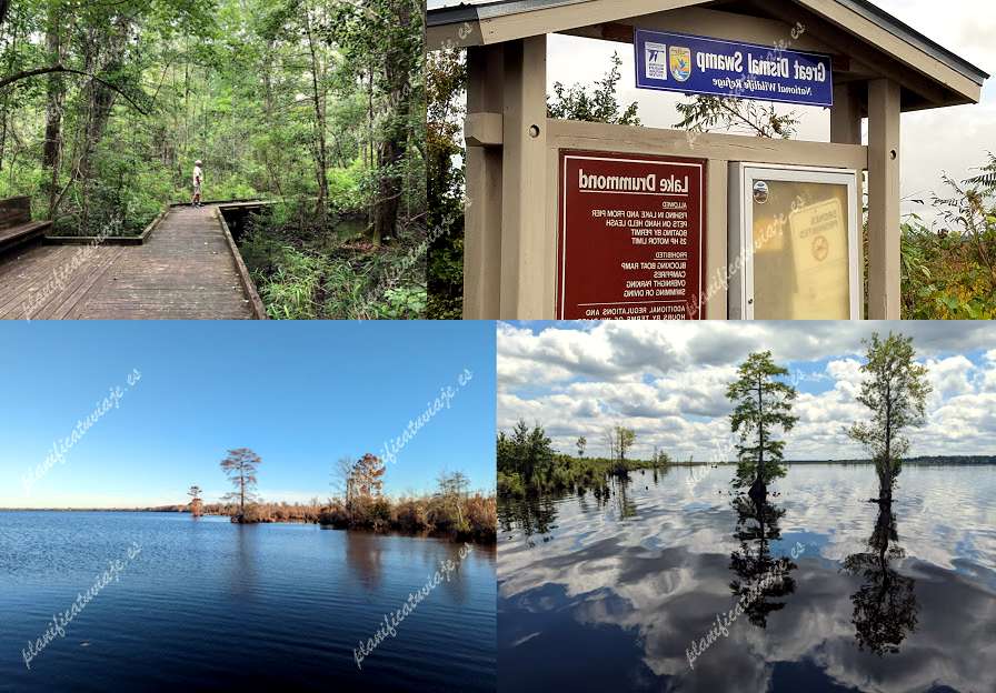 Great Dismal Swamp National Wildlife Refuge de Suffolk | Horario, Mapa y entradas