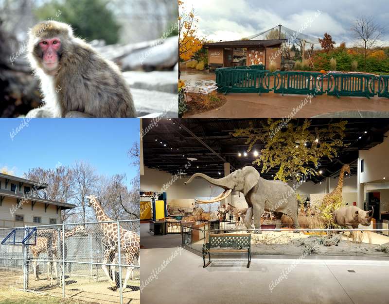 Great Plains Zoo & Delbridge Museum of Natural History de Sioux Falls | Horario, Mapa y entradas