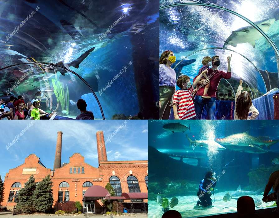 Greater Cleveland Aquarium de Cleveland | Horario, Mapa y entradas
