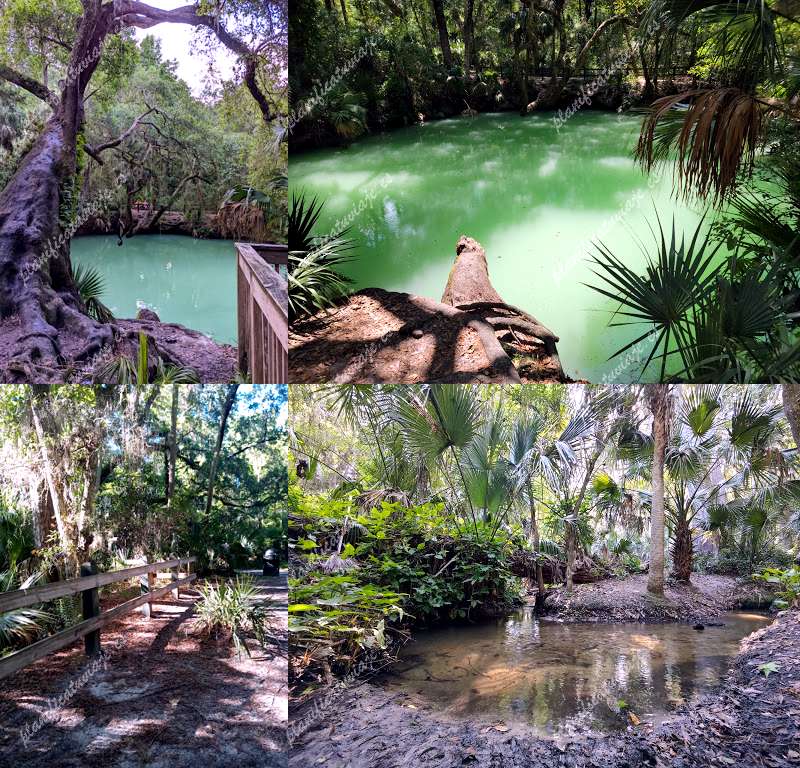 Green Springs Park de Deltona | Horario, Mapa y entradas