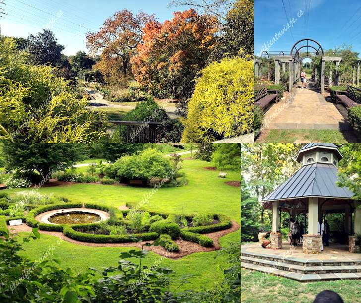 Greensboro Arboretum de Greensboro | Horario, Mapa y entradas