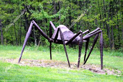 Griffis Sculpture Park de East Otto | Horario, Mapa y entradas