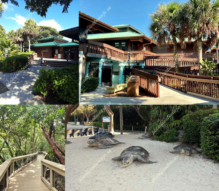 Gumbo Limbo Nature Center de Boca Raton | Horario, Mapa y entradas