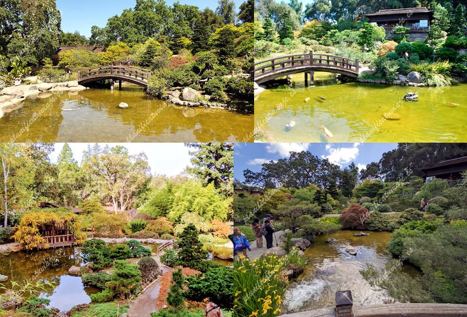 Hakone Estate And Gardens de Saratoga | Horario, Mapa y entradas