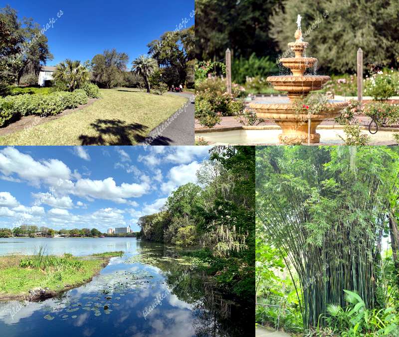 Harry P Leu Gardens de Orlando | Horario, Mapa y entradas