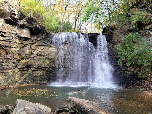 Hayden Falls Park de Dublin | Horario, Mapa y entradas