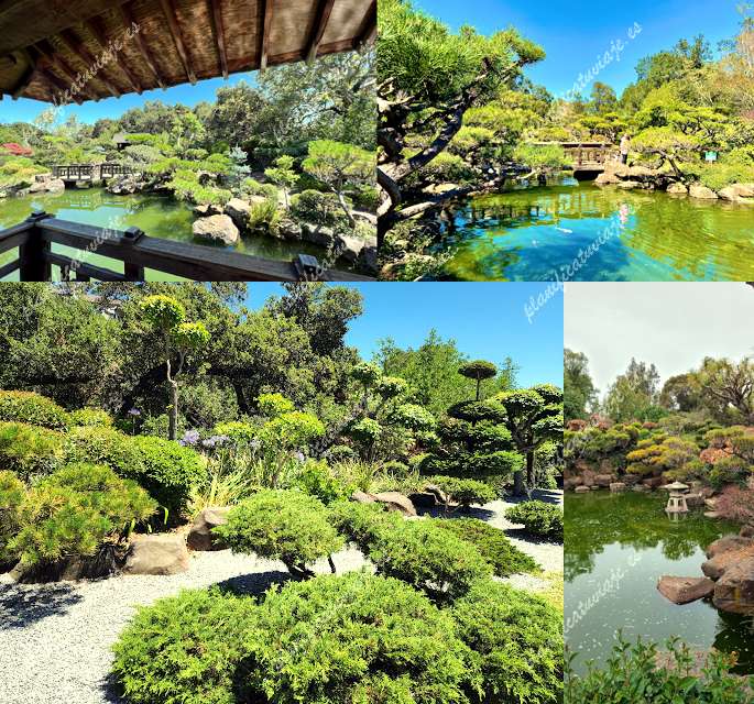 Hayward Japanese Gardens de Hayward | Horario, Mapa y entradas