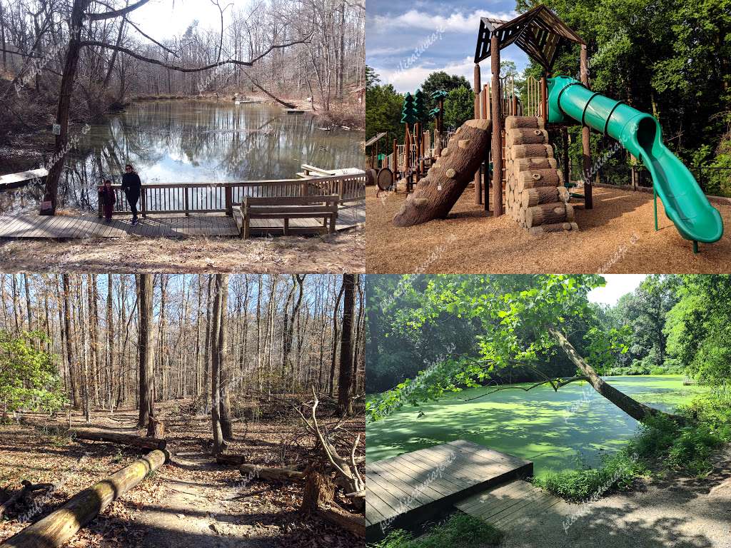 Hidden Pond Nature Center de West Springfield | Horario, Mapa y entradas