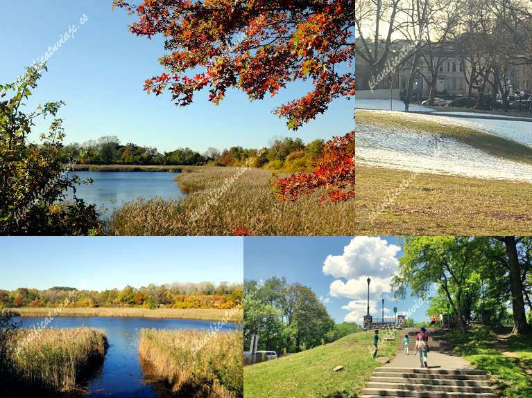 Highland Park de Brooklyn | Horario, Mapa y entradas