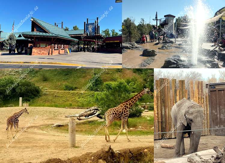 Hogle Zoo de Salt Lake City | Horario, Mapa y entradas