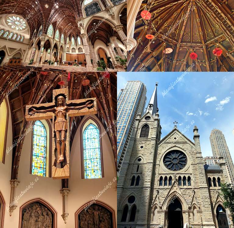 Holy Name Cathedral de Chicago | Horario, Mapa y entradas
