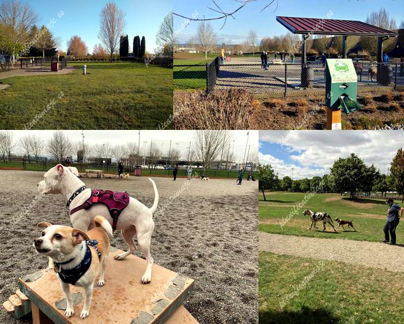 Hondo Dog Park de Hillsboro | Horario, Mapa y entradas