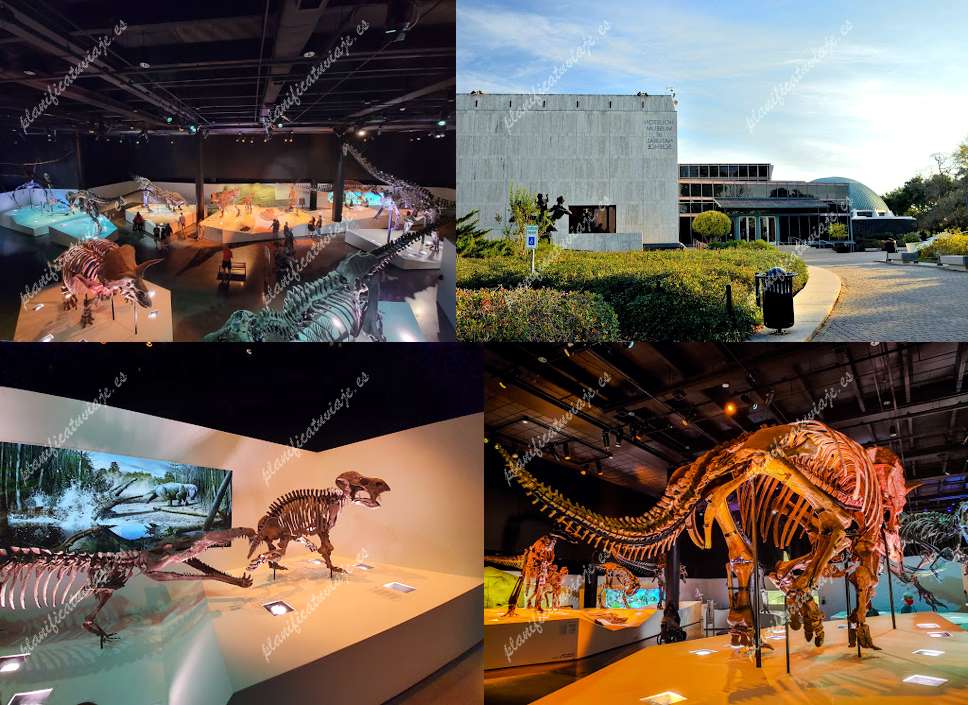 Houston Museum of Natural Science de Houston | Horario, Mapa y entradas