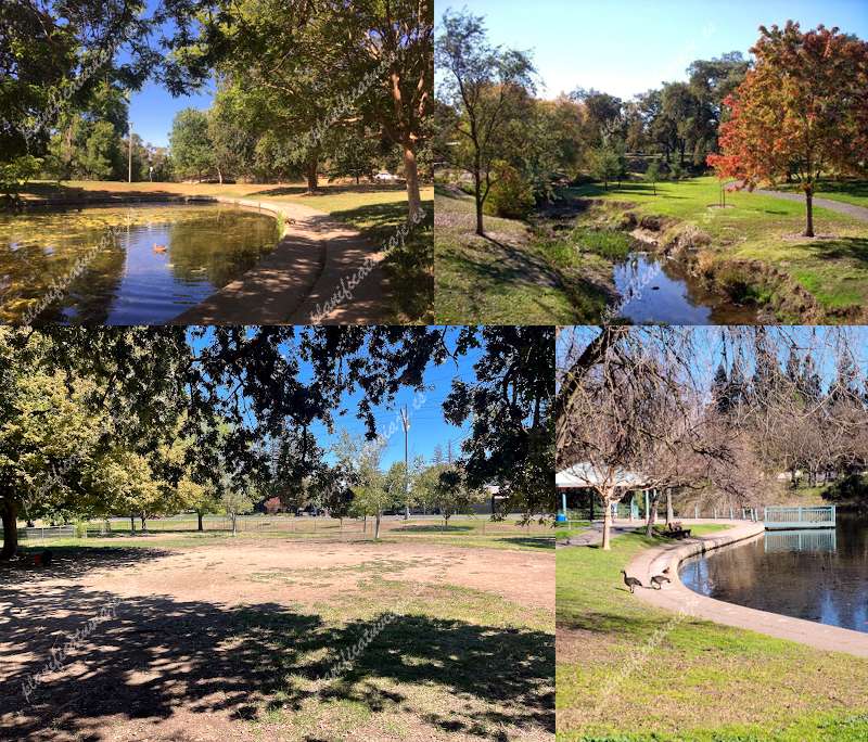 Howe Community Park de Sacramento | Horario, Mapa y entradas