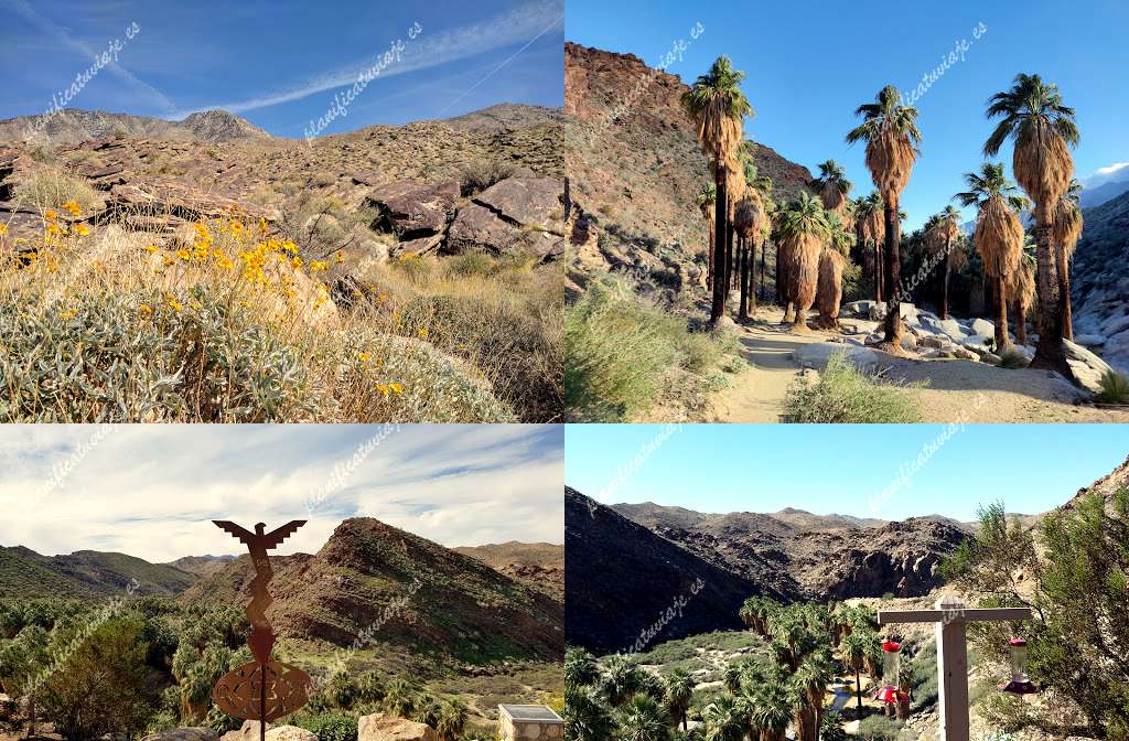 Indian Canyons de Palm Springs | Horario, Mapa y entradas