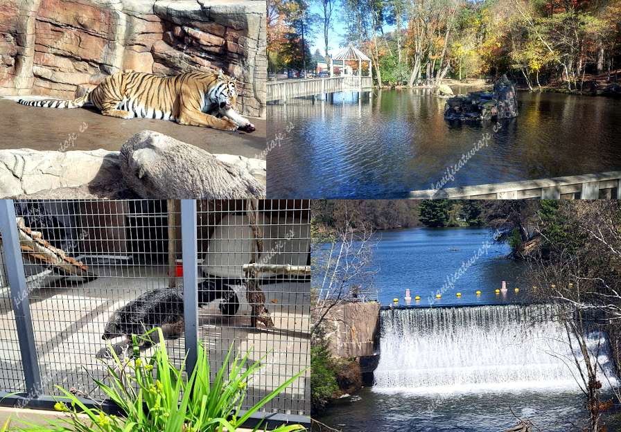Irvine Park Zoo de Chippewa Falls | Horario, Mapa y entradas