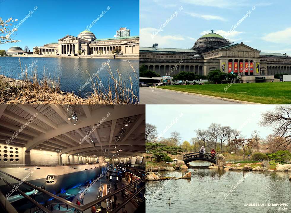 Jackson Park de Chicago | Horario, Mapa y entradas