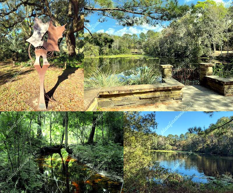 Jacksonville Arboretum & Gardens de Jacksonville | Horario, Mapa y entradas