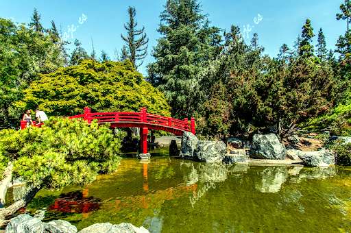 Japanese Friendship Garden de San Jose | Horario, Mapa y entradas