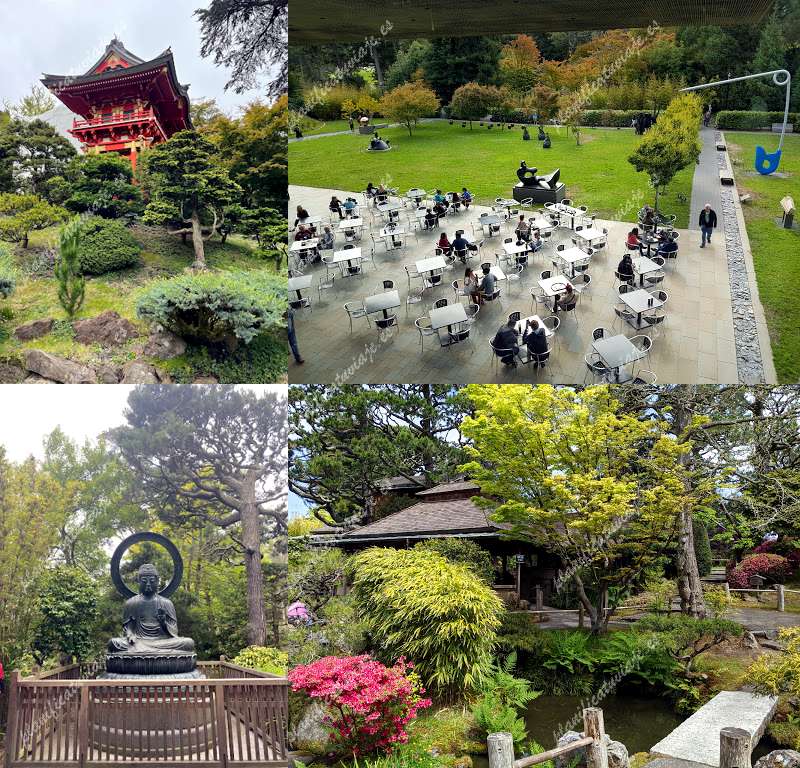 Japanese Tea Garden de San Francisco | Horario, Mapa y entradas 80