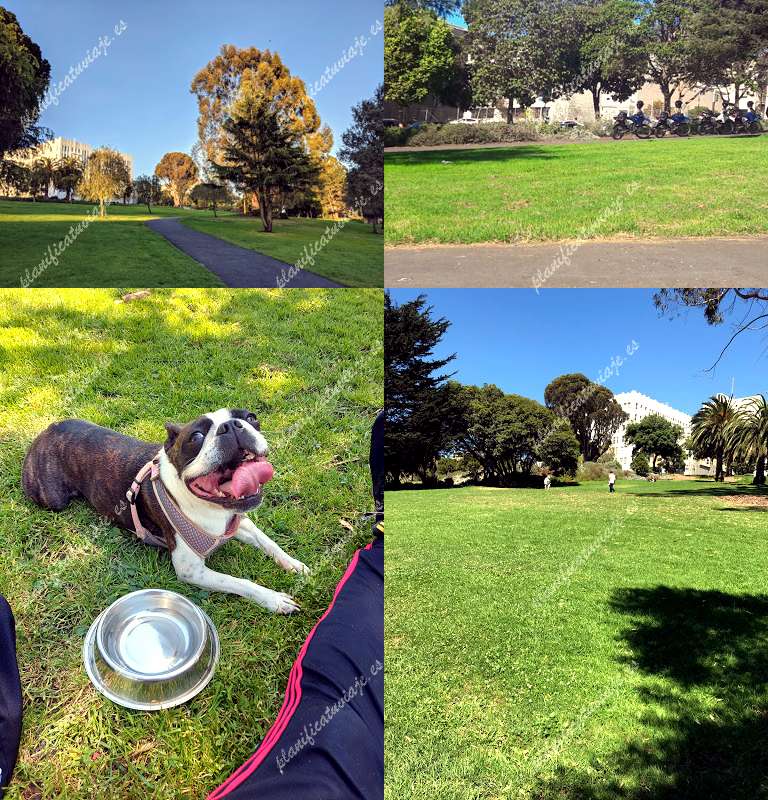 Jefferson Square Park de San Francisco | Horario, Mapa y entradas