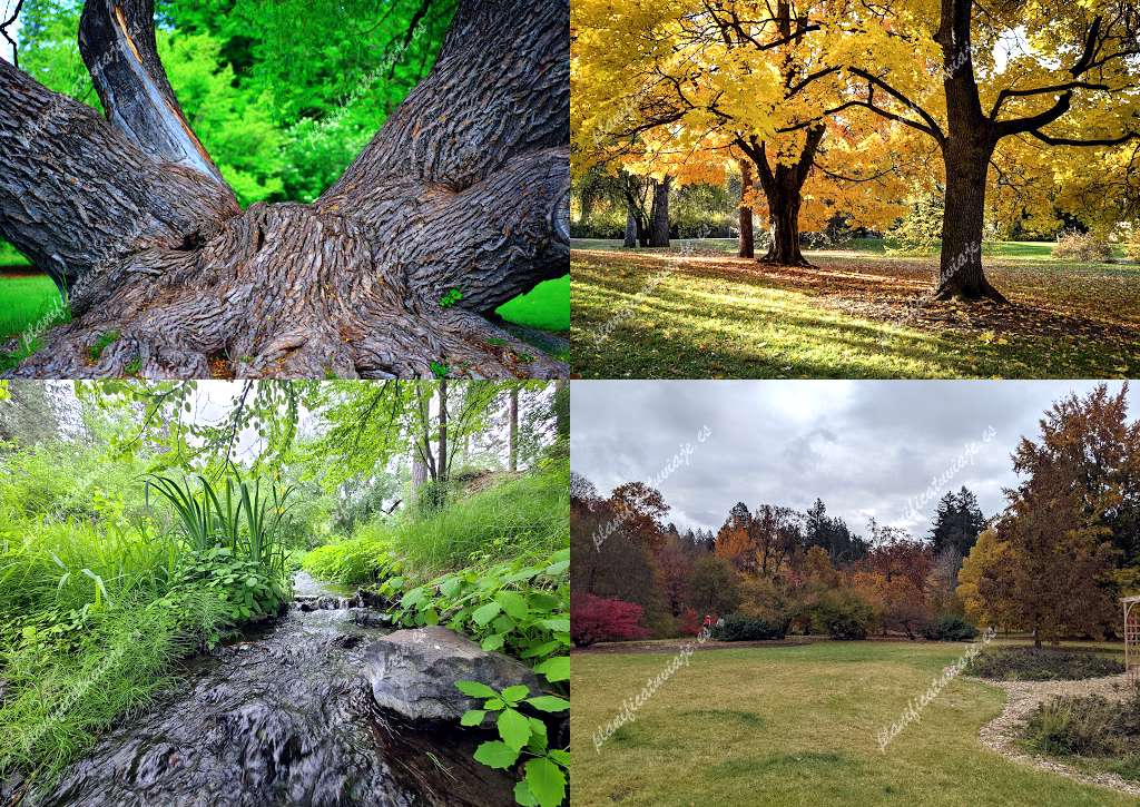 John A. Finch Arboretum de Spokane | Horario, Mapa y entradas