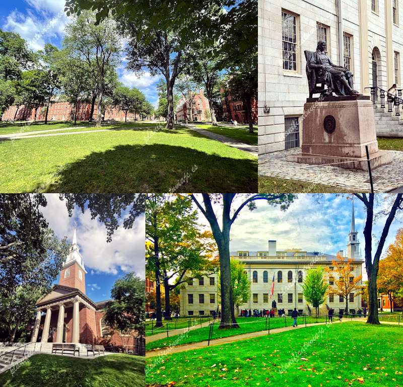 John Harvard Statue de Cambridge | Horario, Mapa y entradas