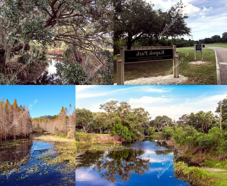 Kapok Park de Clearwater | Horario, Mapa y entradas