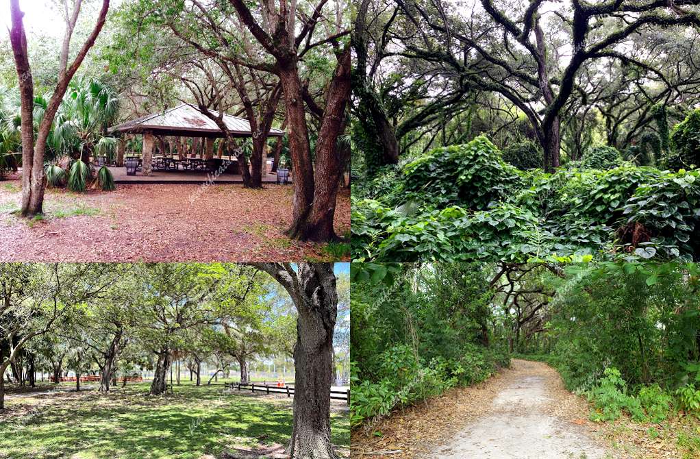 Kendall Indian Hammocks Park de Miami | Horario, Mapa y entradas