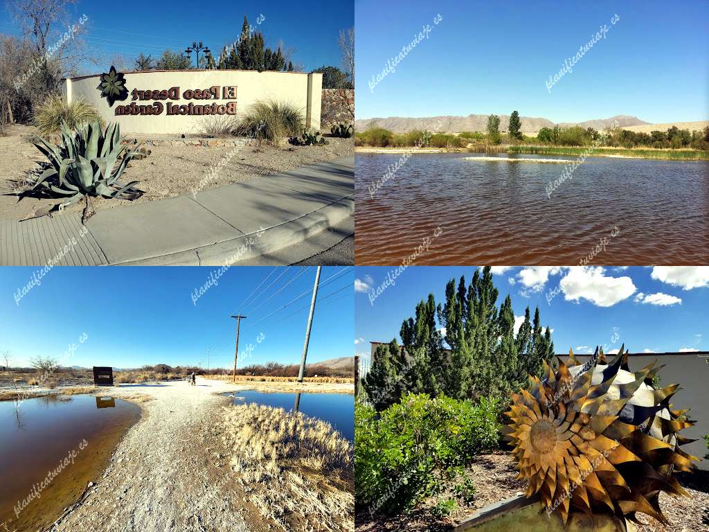 Botanical Garden Desert de Phoenix | Horario, Mapa y entradas