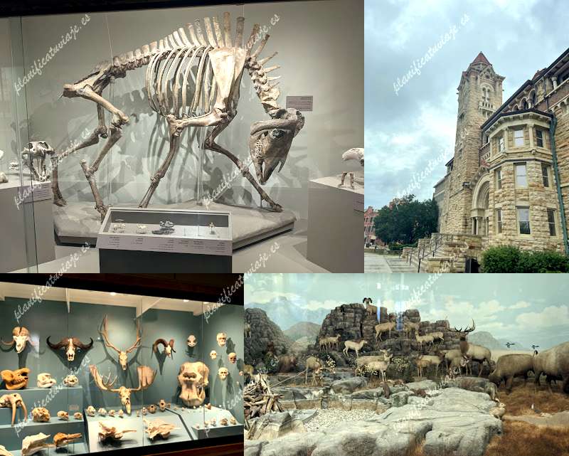 KU Natural History Museum--Dyche Hall de Lawrence | Horario, Mapa y entradas
