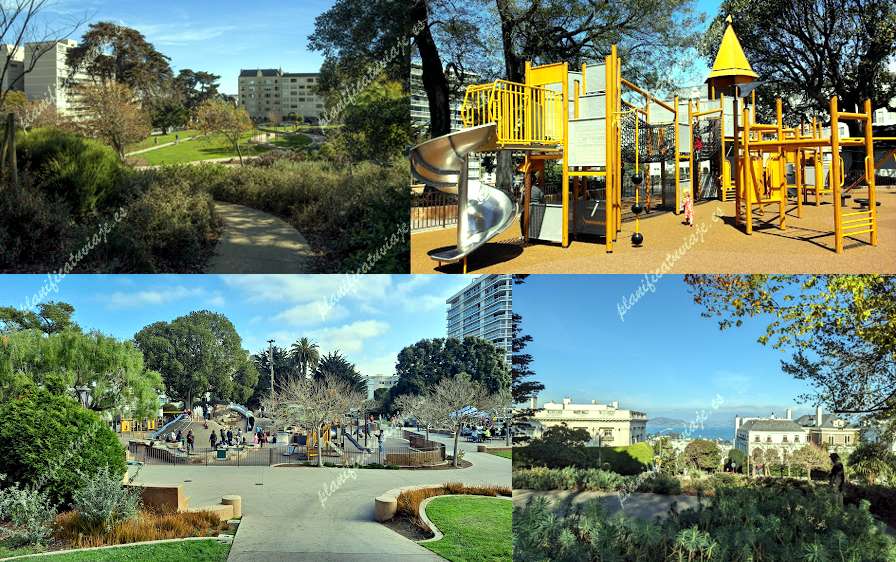 Lafayette Park de San Francisco | Horario, Mapa y entradas
