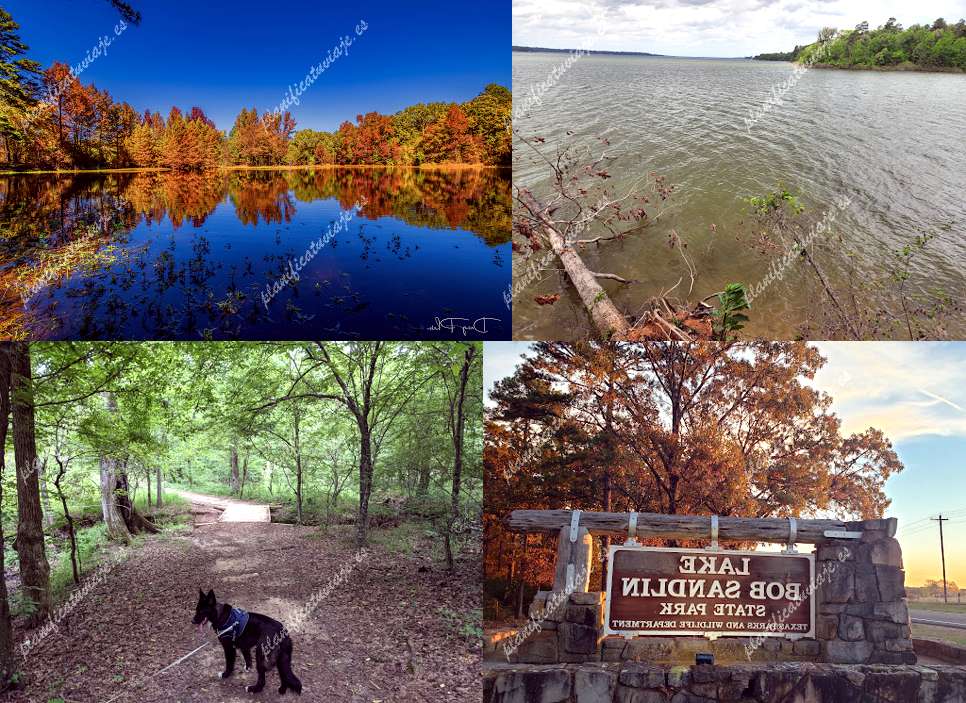 Lake Bob Sandlin State Park de Pittsburg | Horario, Mapa y entradas