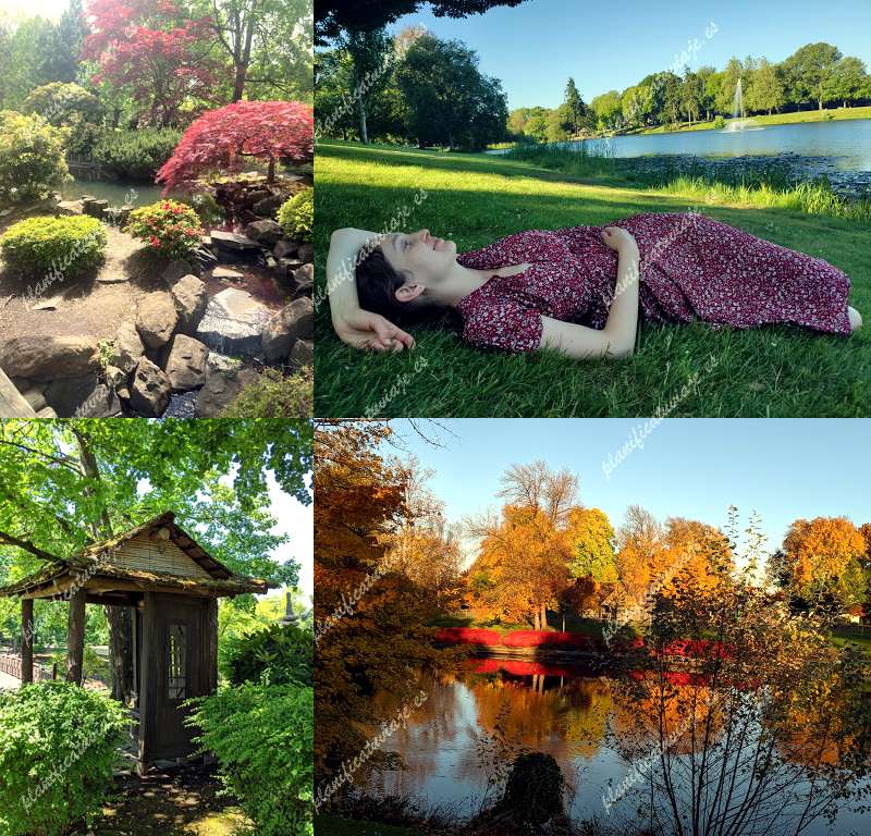 Lake Sacajwea Park Japanese Gardens de Longview | Horario, Mapa y entradas