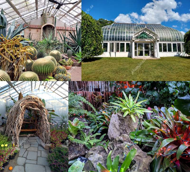 Lamberton Conservatory de Rochester | Horario, Mapa y entradas