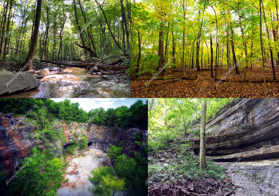 Land Trust of North Alabama: Monte Sano Nature Preserve de Huntsville | Horario, Mapa y entradas