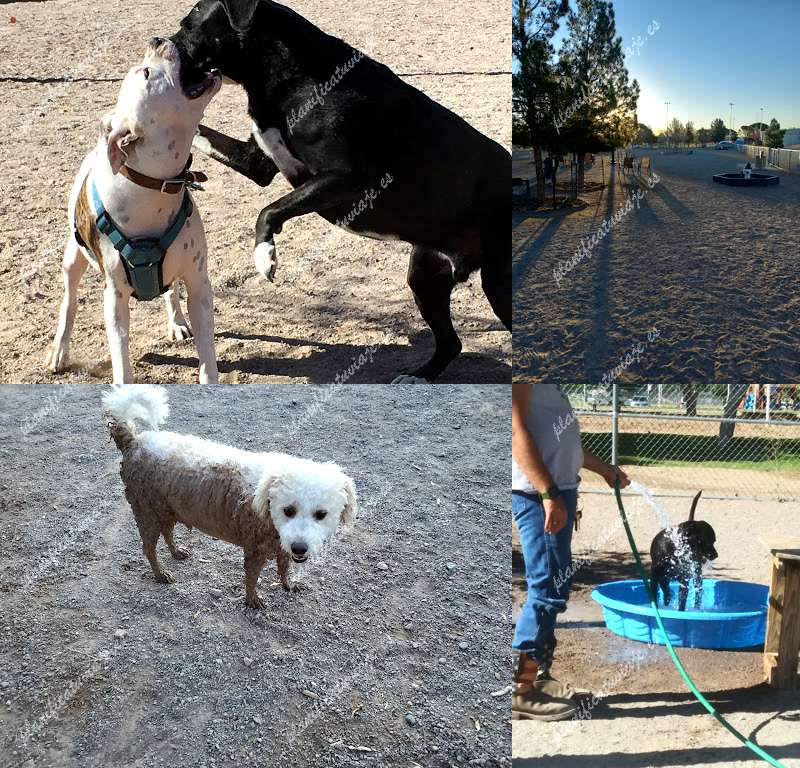 Las Cruces Dog Park de Las Cruces | Horario, Mapa y entradas