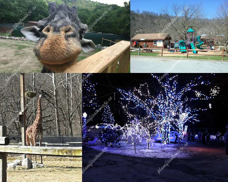 Lehigh Valley Zoo de Schnecksville | Horario, Mapa y entradas 1