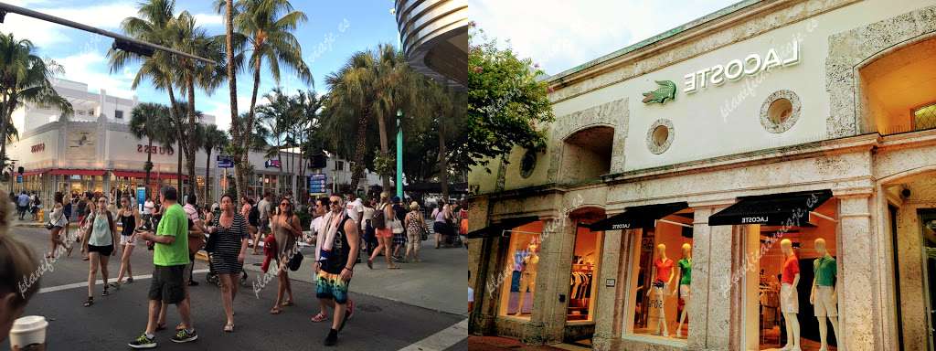 Lincoln Road de Miami Beach | Horario, Mapa y entradas 22