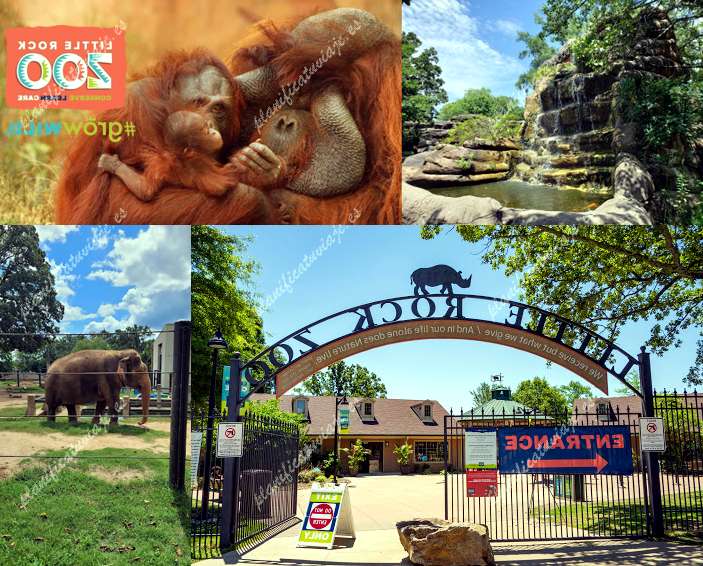 Little Rock Zoo de Little Rock | Horario, Mapa y entradas