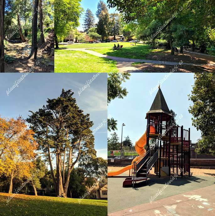 Live Oak Park de Berkeley | Horario, Mapa y entradas 19
