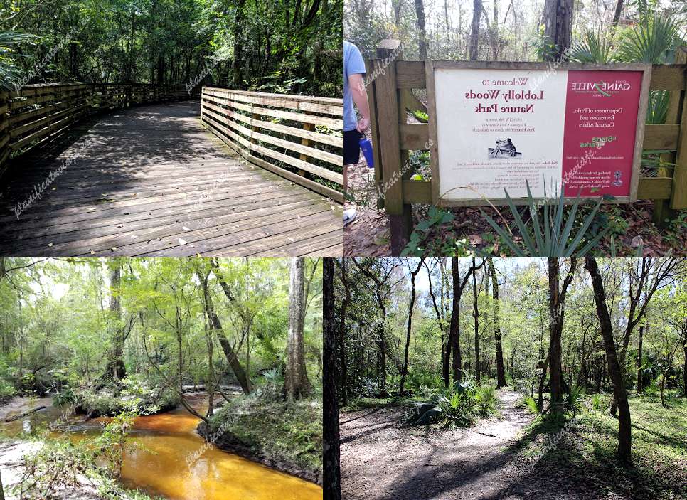 Loblolly Woods Nature Park de Gainesville | Horario, Mapa y entradas