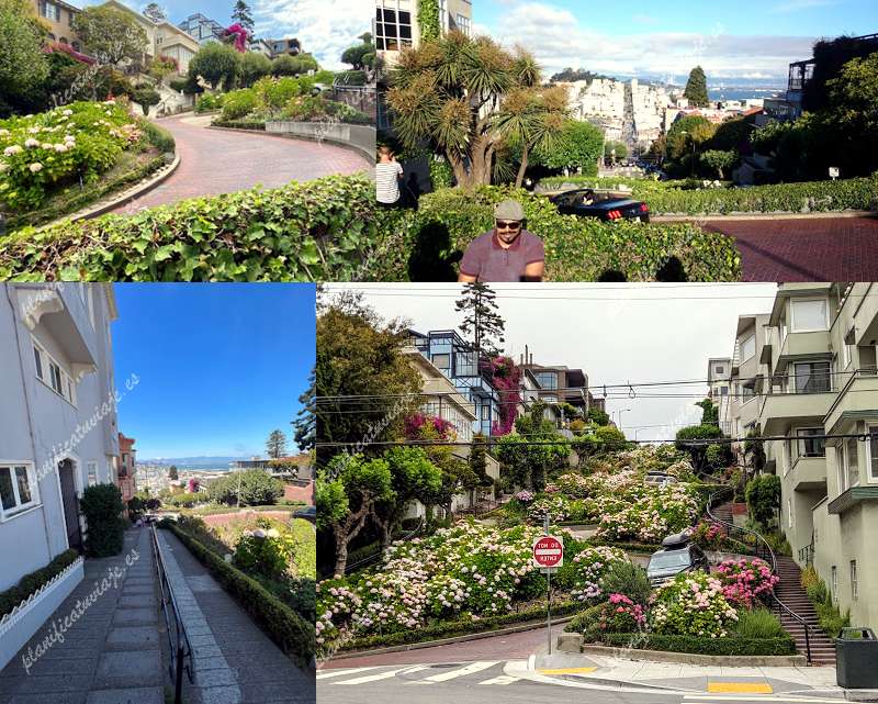 Lombard Street de San Francisco | Horario, Mapa y entradas 97