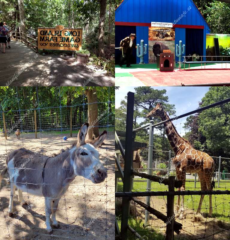 Long Island Game Farm Wildlife Park & Children's Zoo de Manorville | Horario, Mapa y entradas