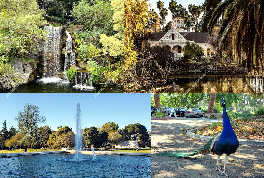 Los Angeles County Arboretum de Arcadia | Horario, Mapa y entradas