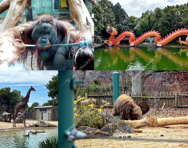 Louisville Zoo de Louisville | Horario, Mapa y entradas