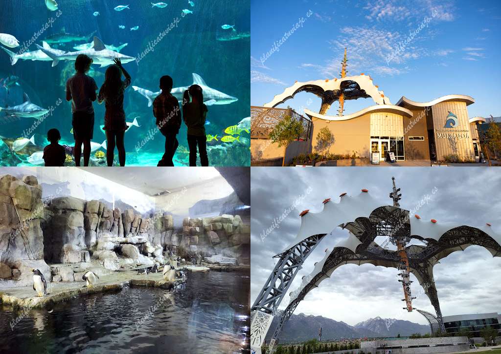 Loveland Living Planet Aquarium de Draper | Horario, Mapa y entradas