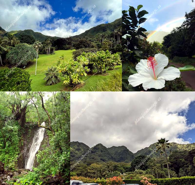 Lyon Arboretum de Honolulu | Horario, Mapa y entradas