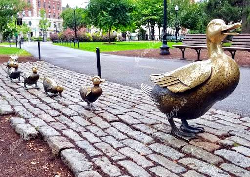 Make Way for Ducklings de Boston | Horario, Mapa y entradas